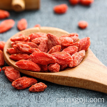 Ningxia organisk torkad röd goji bärfrukt
